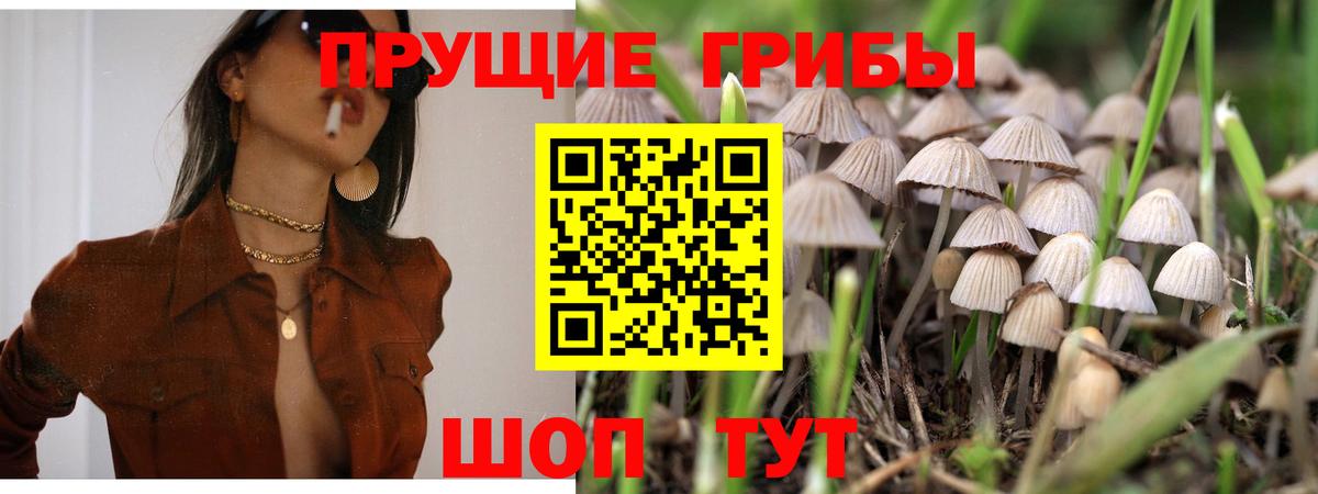 наркошоп  Галлюциногенные грибы Psilocybine cubensis  Вход с VPN  Сосновоборск 